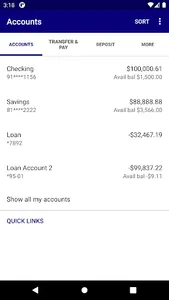 Vermilion Valley Bank screenshot 2