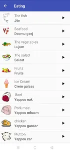 Learn Wolof screenshot 8