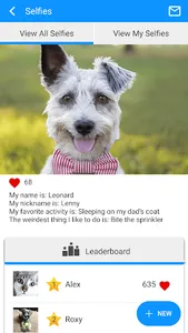 Academy AH Laurinburg screenshot 4