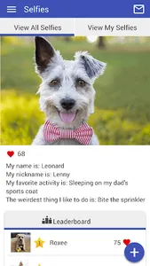 BorderAnimal screenshot 4