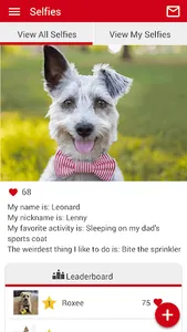 Dry Creek Veterinary Center screenshot 4