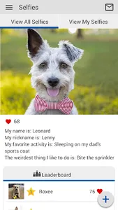 FAVS Rockledge screenshot 1