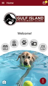GIVetClinic screenshot 0
