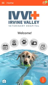 IrvineValleyVet screenshot 0