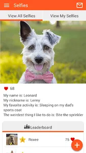 IrvineValleyVet screenshot 4