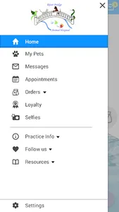 River Bridge AH screenshot 1