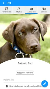 River Bridge AH screenshot 3