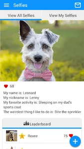 River Bridge AH screenshot 4