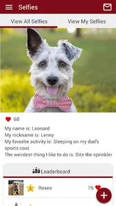 Rolling Hills Pet screenshot 4