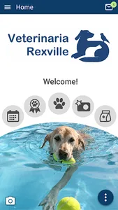 Veterinaria Rexville screenshot 0