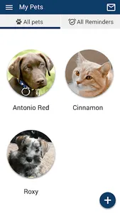 Veterinaria Rexville screenshot 2