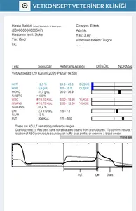 Vetkonsept Veteriner Kliniği screenshot 5