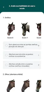 Vetpain screenshot 2