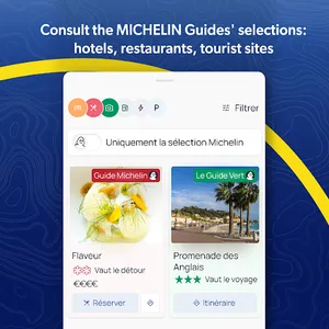ViaMichelin GPS, Maps, Traffic screenshot 11