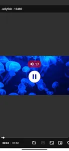 NebulaPlayer: HD Video Player screenshot 3