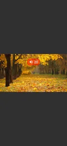 ColPlayer: All Video Player screenshot 3