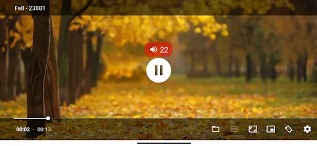ColPlayer: All Video Player screenshot 4