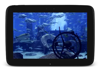 Aquarium Video Live Wallpaper screenshot 11