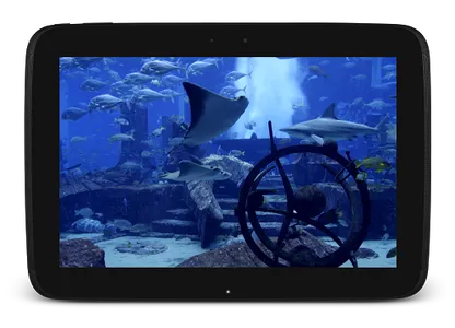 Aquarium Video Live Wallpaper screenshot 12