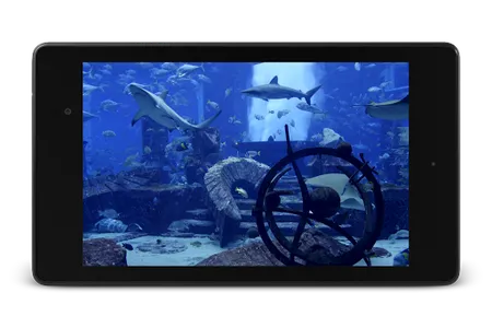 Aquarium Video Live Wallpaper screenshot 8