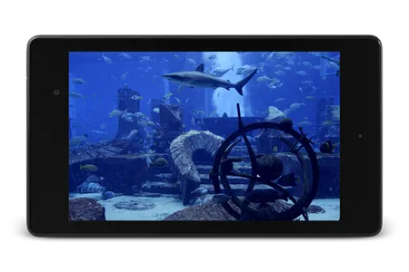 Aquarium Video Live Wallpaper screenshot 9