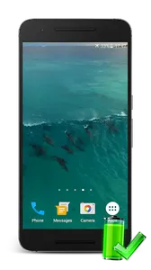 Dolphins Video Live Wallpaper screenshot 0