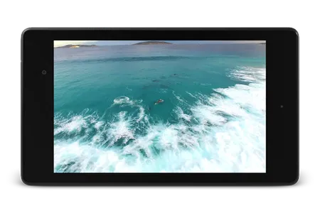 Dolphins Video Live Wallpaper screenshot 7