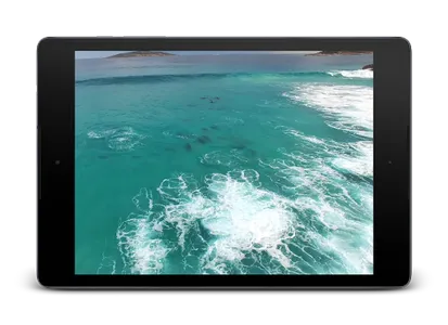 Dolphins Video Live Wallpaper screenshot 9