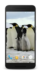 Penguins Video Live Wallpaper screenshot 1