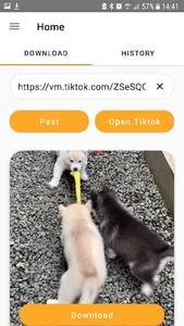 Video Downloader for Tik Tok screenshot 0