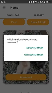 Video Downloader for Tik Tok screenshot 9