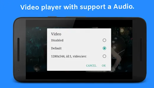 Video Player screenshot 0