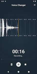Voice Changer - Voice Recorder screenshot 2