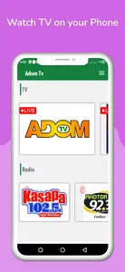 ADOM TV screenshot 1