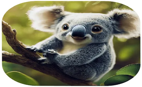 Cute Animals Wallpapers screenshot 1