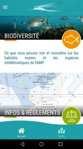 AMP - Agde screenshot 0