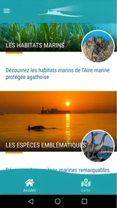 AMP - Agde screenshot 4