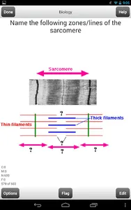 DAT Flashcards screenshot 12