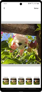 Picslazy screenshot 1