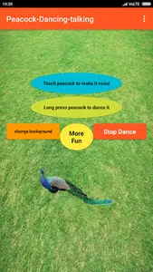 Talking Peacock Dance-Fun screenshot 7