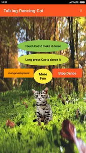 Talking Cat-Animal-Dance app screenshot 3