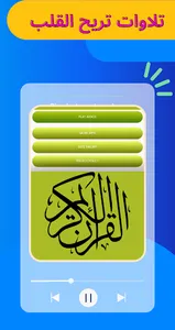 القرآن بدون نت - هيثم الدخين screenshot 0