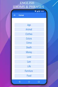 English Idioms & Phrases screenshot 2
