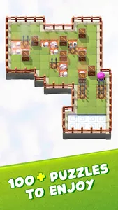 Wood Block : Push Block Puzzle screenshot 11