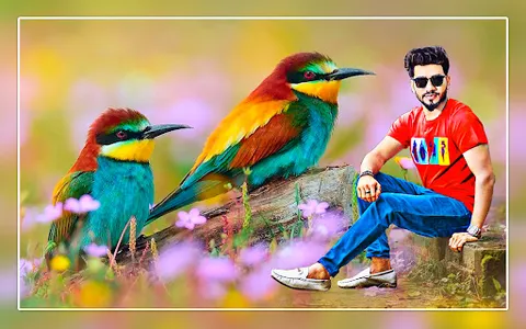 Bird photo editor frames screenshot 0
