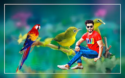 Bird photo editor frames screenshot 3