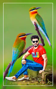 Bird photo editor frames screenshot 6