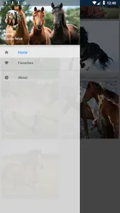 Horse screenshot 2