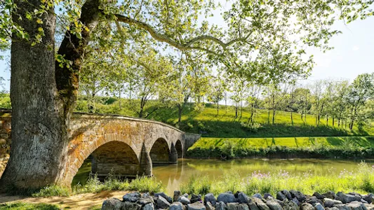 Battlefields in VR screenshot 9