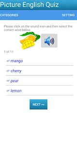 Picture English Quiz screenshot 11